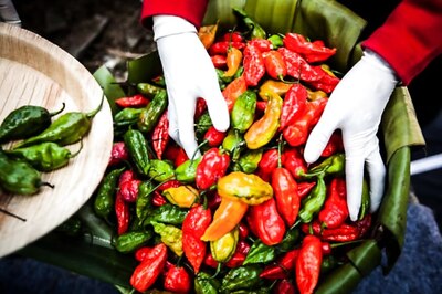Know Your Spices: All You Need to Know About Bhut Jolokia