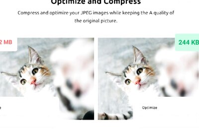 How to Adjust the Size of Images on Google Chrome in a Few Clicks