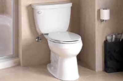 Woman takes loo break, falls in lake