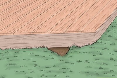 12 Ways to Make Skunks Leave your Yard or Garden