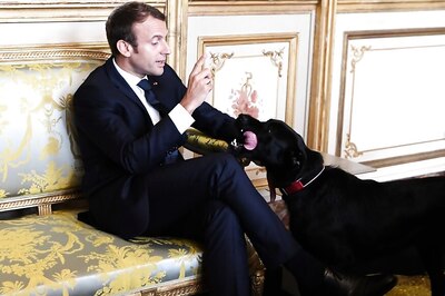 Oui Oui: France's Presidential Pooch Leaves Palace Puddle