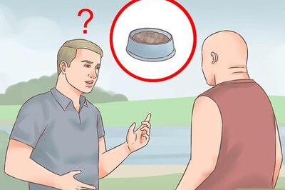 How to Buy Dog Food Online