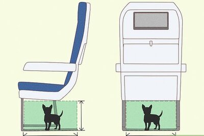 15 Tips to Prepare Your Dog for a Comfortable Flight In-Cabin