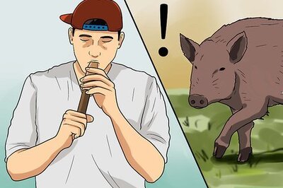 How to Call the Hogs