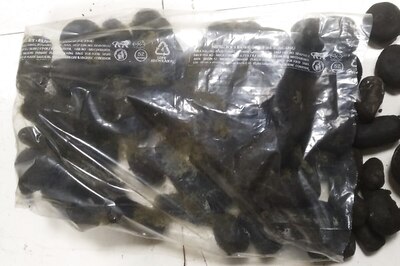 NCB Conducts Fresh Raids in Mumbai, Recovers 4 Kgs of Charas and 11 Kgs of Ganja