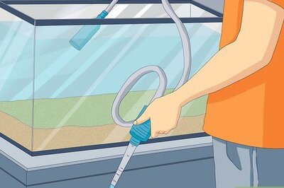 How to Transport Fish