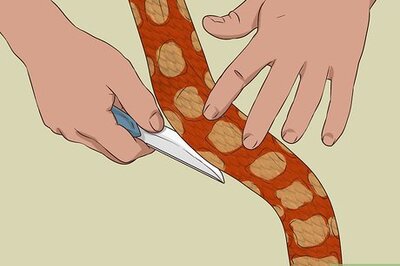 How to Dry a Snakeskin