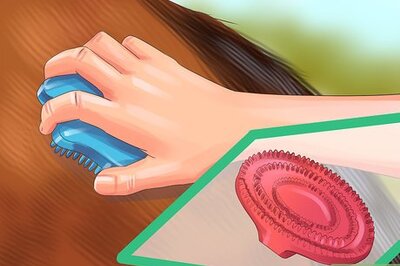 How to Assemble a Horse Grooming Kit