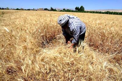 Budget 2018: RSS-Linked Groups to Watch Out for Crop MRPs, Tax Relief, Jobs