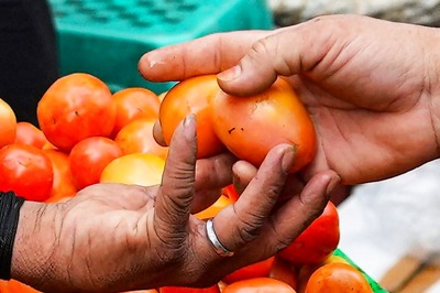 TN Govt Expands Tomato Sales To 300 Fair Price Shops, Plans For Mobile Vegetable Outlets Too
