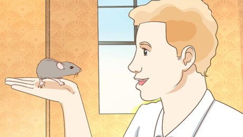 How to Teach a Rat Its Name
