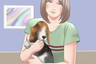 How to Pick a Puppy from a Litter