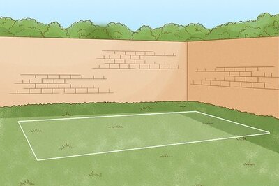 How to Care for Camellias