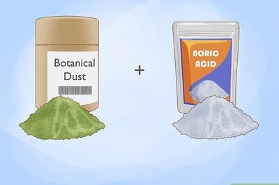 How to Kill Fleas in a Home