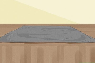 How to Divide a Spider Plant