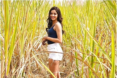 Ananya Panday Posts New Picture, Netizens Troll Her with 'Struggling Days' Comments