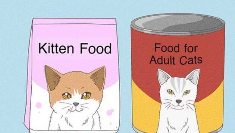 How to Change Cat Food