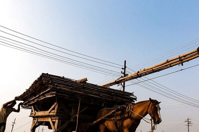 Delhi HC Asks MCD To Respond To Plea For Seizure Of Horse Drawn Carts Illegally Plying In Delhi