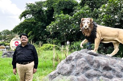 Moment of 'Pride': Asiatic Lion Finds New Home in Barda Wildlife Sanctuary after over 140 Years