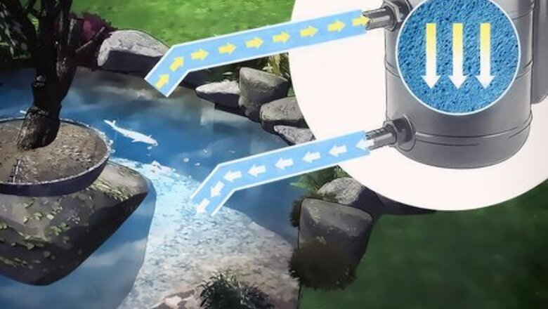 How to Care for Your Pond
