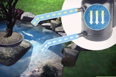 How to Care for Your Pond