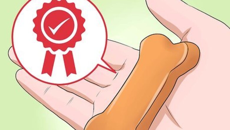 How to Treat Your Dog Like a Princess