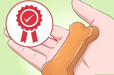 How to Treat Your Dog Like a Princess