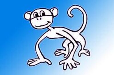 No monkey business! School warned