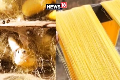 Ever Wondered How Silk Is Made? Well, Let's Find Out Here