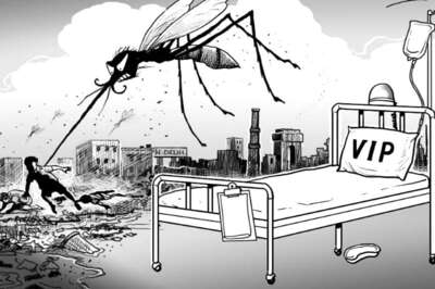 On Failing to Control Dengue, Pay Rs 50 lakh to Families of Deceased: HC to Telangana Govt