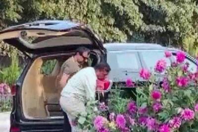 Gurugram Viral Video: We Finally Know the 'VIP' Who Stole Flower Pots Set Up for G20 Event | Details Here