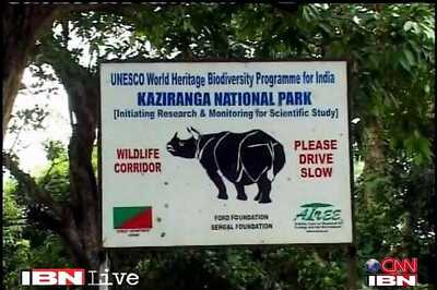 Day after opening, rhino carcass recovered in Kaziranga