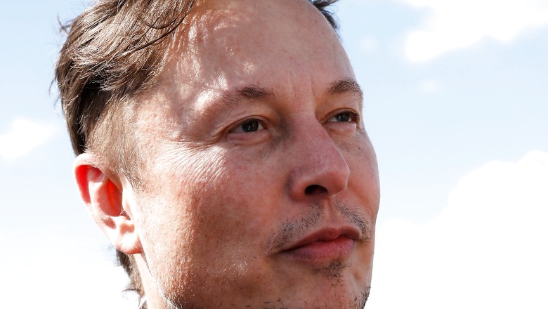 Elon Musk's Neuralink Denies Report That Claimed Company Abused Test Monkeys