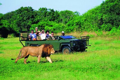 ‘Tis the Festive Season: Plan a Fun Year-end Family Holiday in South Africa