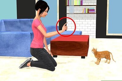 How to Solve Cat Book and Furniture Chewing