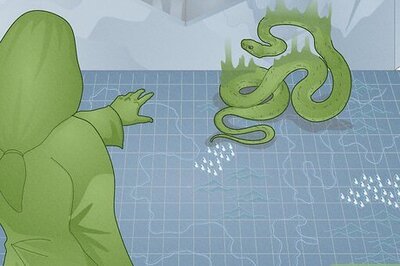 Find Familiar Spell in D&D 5e Explained: What It Is & How to Use It