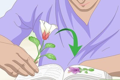How to Identify Flowers