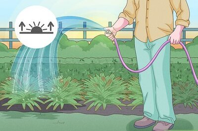 How to Choose the Best Time for Watering a Garden