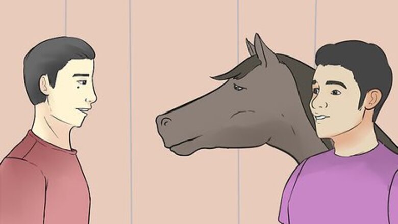 How to Choose a Horse Trainer