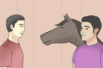 How to Choose a Horse Trainer