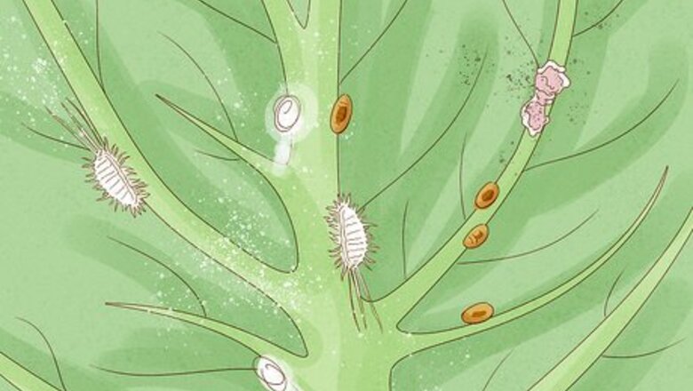 How to Eliminate Scale Bugs