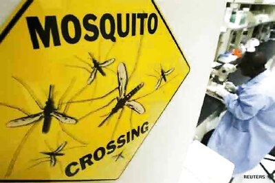 Bed nets enough for protection against malaria: Study