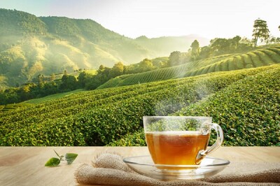 Effective Diabetes-Friendly Beverages To Control Blood Sugar Levels