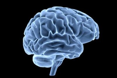 Human Brains are Naturally Attracted to Laziness: Study