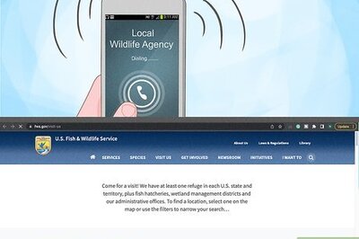 How to Catch Weasels