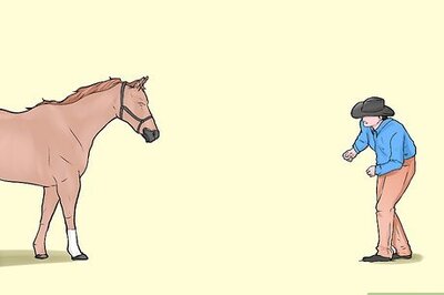How to Befriend a Horse