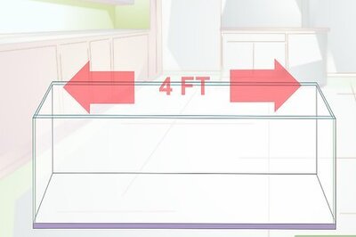 How to Breed Malawi Cichlids