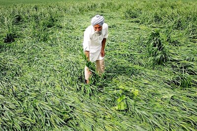 Centre Transferred Rs 38,282 Crore to Farmers Under PM-KISAN During April to Aug: Agri Min