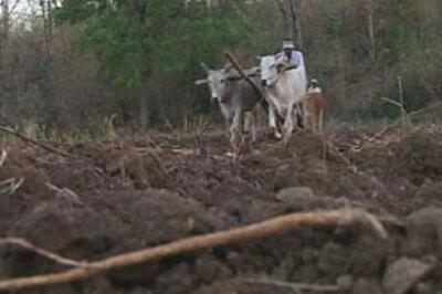 Agriculture finally gets the attention