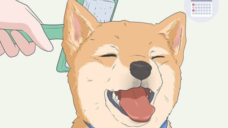 How to Control Dog Hair in Your House